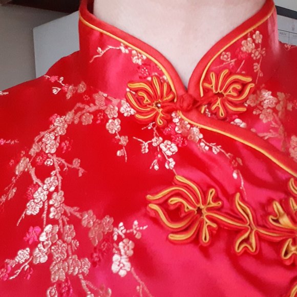 Authentic Vintage Chinese Maxi Evening Dress - Silk - Picture 8 of 9